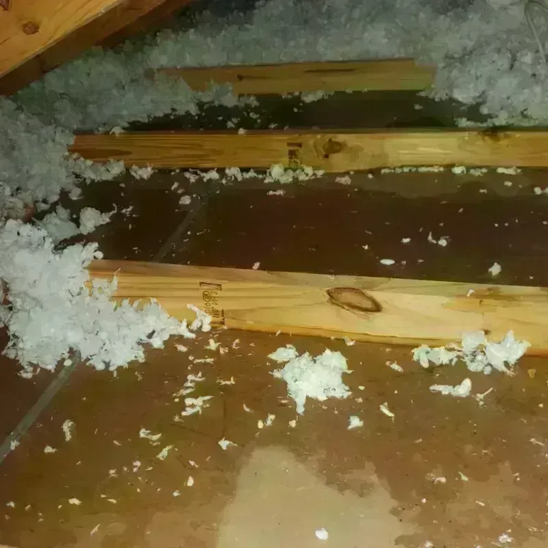 Attic Water Damage in Laurens County, GA