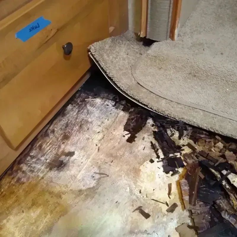 Wood Floor Water Damage in Laurens County, GA